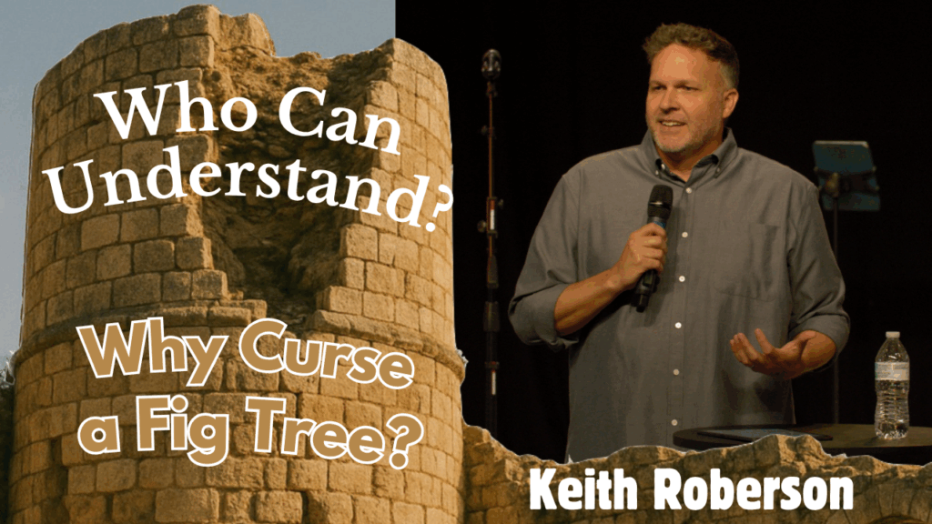 Why Curse a Fig Tree?